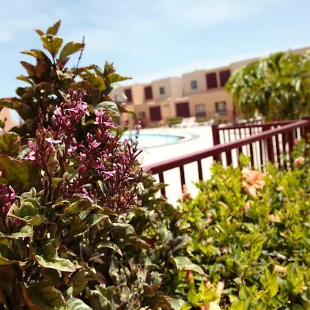 Apartamento Bahia Sol Caleta De Fuste * Antigua (Fuerteventura)